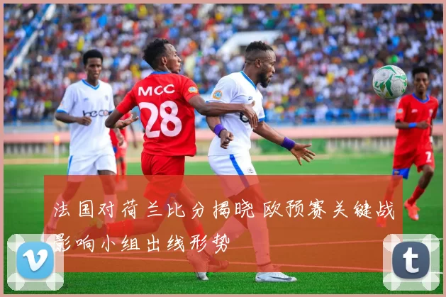法国对荷兰比分揭晓 欧预赛关键战影响小组出线形势