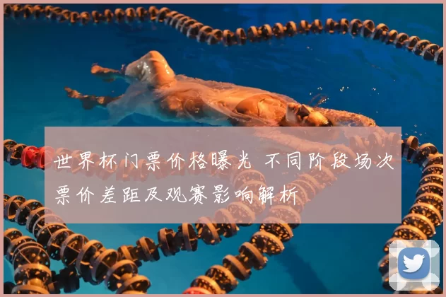 世界杯门票价格曝光 不同阶段场次票价差距及观赛影响解析