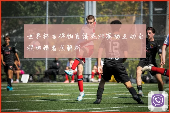 世界杯吉祥物直播亮相赛场互动全程回顾看点解析